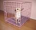 Pink Small Wire Dog Kennel / Cage / Playpen -24x17x20
