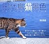 田代島猫景色