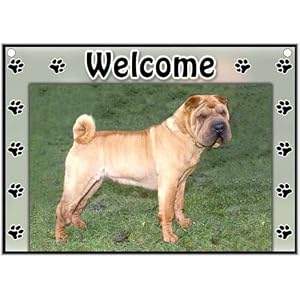 Chinese Shar-Pei Welcome Sign