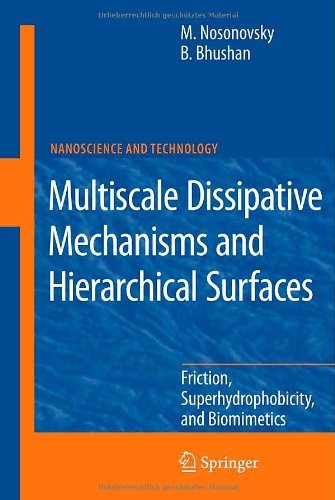 Multiscale Dissipative Mechanisms and Hierarchical Surfaces (NanoScience and Technology)