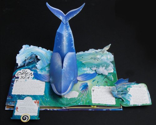 Cover image : Wild Oceans: A Pop-up Book with Revolutionary Technology