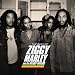 The Best Of Ziggy Marley & The Melody Makers