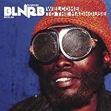 Blnrb: Welcome to the Madhouse
