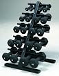 10 Pair Dumbbell Rack