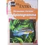 Aqualog Extra: The Latest Apistogramma