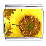 Sunflower Close Up Italian Charms Bracelet Link