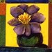 Patrick Coffaro - Well Fed, Size: 24 x 24 Canvas Finish