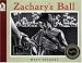 Search : Zachary's Ball (Tavares baseball books)