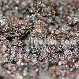 Dried Black Raisin, 1lb