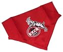 1. FC Köln Hundetuch Hund Halsband