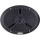 Riot Loudspeakers 5' X 7' 2-WAY Speaker