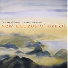 Click here to buy New Choros of Brazil by  Paulo Bellinati and Harvey Wainapel .