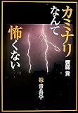 カミナリなんて怖くない―続・雷の科学