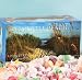 Myrtle Beach Salt Water Taffy Box, 1lb