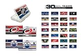 Review MadCatz NHL-AAA024840/04/1 / Nintendo DS NHL Console Jersey Showcase