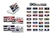 Nintendo DS NHL Console Jersey Showcase
