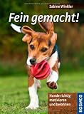 Fein gemacht!: Hunde richtig motivieren und belohnen