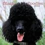 Black Poodles 2004 Calendar