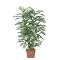 Potted Silk Areca Palm Tree