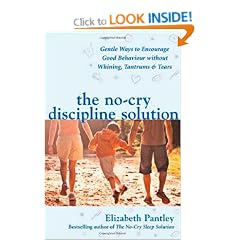 The No-Cry Discipline Solution: Gentle ways to promote good behaviour and stop the whining, tantrums and tears