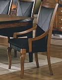 Chameleon Arm Chair-Leather Match