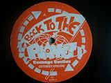 BACK TO THE PLANET Teenage Turtles 12" promo