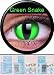 Farbige Kontaktlinsen Crazy Motivlinsen Kostüm Karneval Green Snake - Mit Verdehschutz!!!