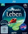 Life - Das Wunder Leben. Vol. 2. Die Serie zum Film "Unser Leben"  [Blu-ray]