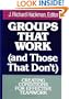 Groups That Work (and Those That Don't): Creating Conditions for Effective Teamwork (Jossey-Bass Management)