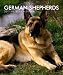 German Shepherds 2011 Hardcover Weekly Engagement