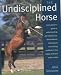 The Undisciplined Horse