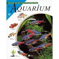 Aquarium