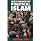 Learn about  Political Islam
