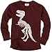 Wes and Willy Boys 27 Dinosaur Thermal Tee
