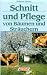 Schnitt und Pflege von Bäumen und Sträuchern
