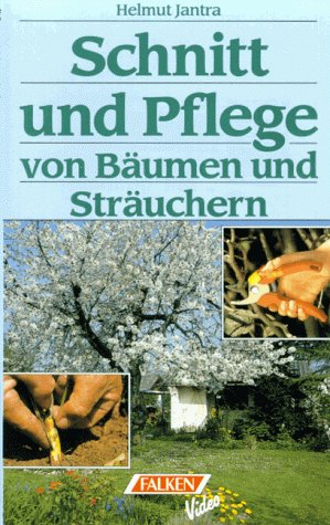 Schnitt und Pflege von Bäumen und Sträuchern