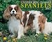 Book Just Cavalier King Charles Spaniels
