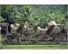 10x8 Photograph (25x20cm) Traditional village by Robert Harding