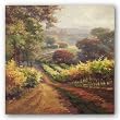 Vineyard Way by Roberto Lombardi 35"x35" Art Print Poster