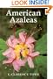 American Azaleas