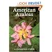 American Azaleas
