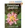 American Azaleas