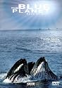 The Blue Planet - Seas Of Life (Part 4) - Tidal Seas Coasts
