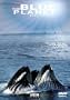 The Blue Planet - Seas Of Life, Part 4 - Tidal Seas Coasts
