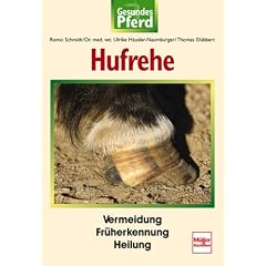Hufrehe. Gesundes Pferd.