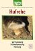 Books : Hufrehe. Gesundes Pferd.