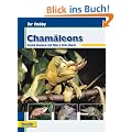 Cham�leons, Ihr Hobby