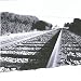 Amazon MP3: How Do I bei MP3-Downloads zum Namen: 51ECQq5w1pL._SL75_