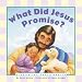 Books : What Did Jesus Promise Board Book