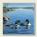 Kitchen & Housewares : AbsorbaStone Coaster set ~ Loons ~ 4 Tile Drink Coasters ~ code 561